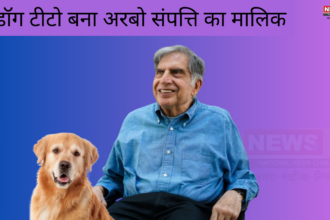 Ratan Tata Dog Tito News: रतन टाटा की वसीयत का हो गया खुलासा : रतन टाटा ने अपने पालतू डॉग के नाम करवा दी करोडो की संपत्ति