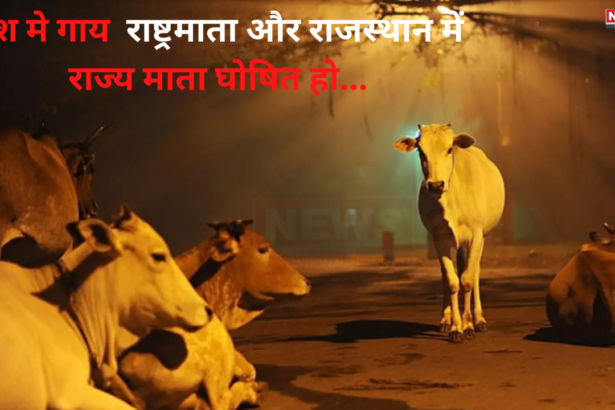  Cow As State Mother Rajasthan: गौ-संरक्षण को लेकर साइकिल यात्रा पर नीर सिंह राठौड़: राजस्थान में 3280 किलोमीटर का सफर तय किया 