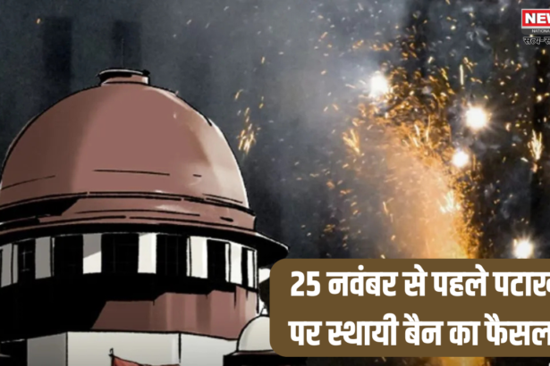 Firecracker Ban In Delhi: सुप्रीम कोर्ट ने दिल्ली सरकार से कहा: 25 नवंबर से पहले पटाखों पर स्थायी बैन का फैसला लें