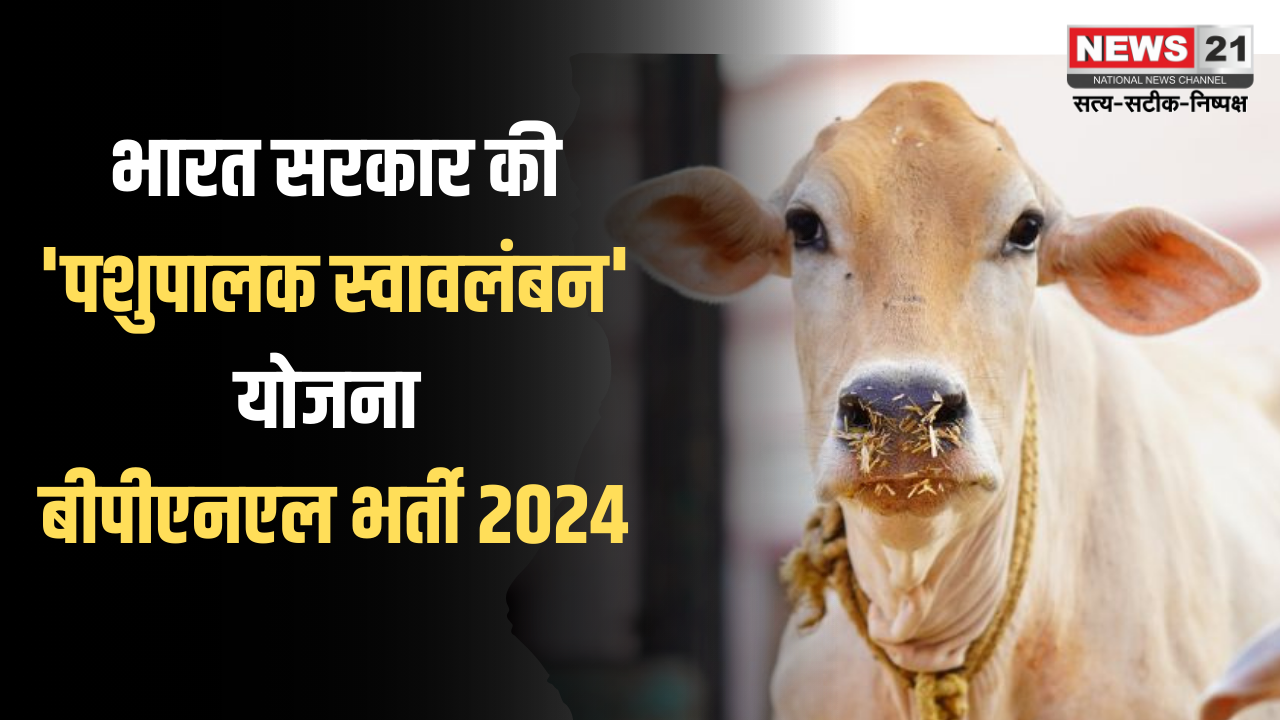 Rajasthan News Update: भारत सरकार की 'पशुपालक स्वावलंबन योजना:  बीपीएनएल भर्ती 2024 की शुरुआत: 10वीं पास भी कर सकते हैं आवेदन