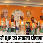 BJP Manifesto For Maharashtra: महाराष्ट्र में BJP का संकल्प घोषणा पत्र जारी: किसानों-महिलाओं और युवाओं के लिए बीजेपी ने खोला पिटारा