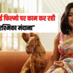 Rashmika mandanna News Update: सलमान खान की 'सिकंदर' और अल्लू अर्जुन की 'पुष्पा 2' :  रश्मिका मंदाना कर रही हैं कई हाई बजट फिल्मों की शूटिंग