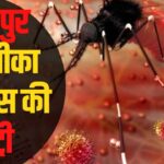 Rajasthan Zika Virus Update: जयपुर के बजाज नगर में जीका वायरस से पहली मौत:  चिकित्सा विभाग अलर्ट पर