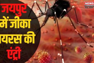 Rajasthan Zika Virus Update: जयपुर के बजाज नगर में जीका वायरस से पहली मौत:  चिकित्सा विभाग अलर्ट पर