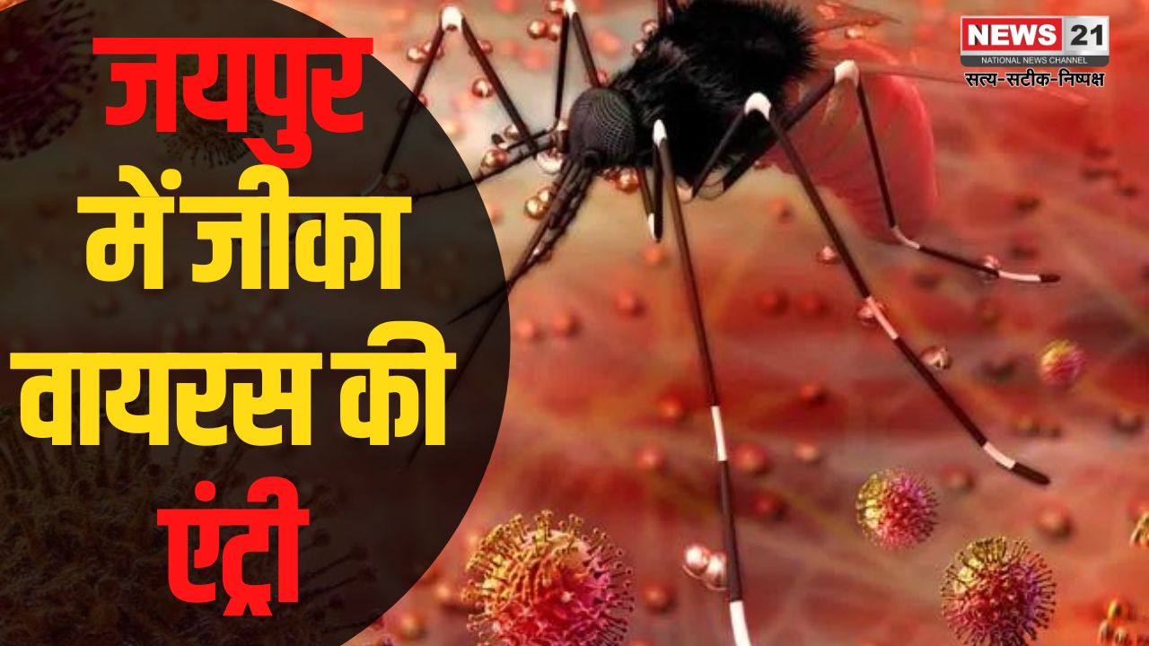 Rajasthan Zika Virus Update: जयपुर के बजाज नगर में जीका वायरस से पहली मौत:  चिकित्सा विभाग अलर्ट पर