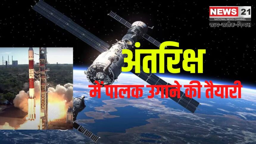 Preparations To Grow Spinach in Space: अंतरिक्ष में पालक ‎उगाने की तैयारी: (ISRO) 2024 का आखिरी मिशन 30 दिसंबर को लॉन्च