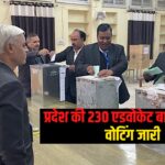 Bar Association Elections 2024-25: प्रदेश की 230 एडवोकेट बार में चुनाव, वोटिंग जारी: जयपुर की सबसे बड़ी बार पर भी मतदान