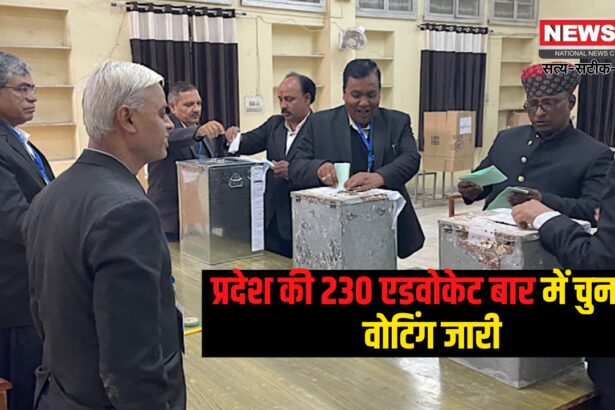 Bar Association Elections 2024-25: प्रदेश की 230 एडवोकेट बार में चुनाव, वोटिंग जारी: जयपुर की सबसे बड़ी बार पर भी मतदान