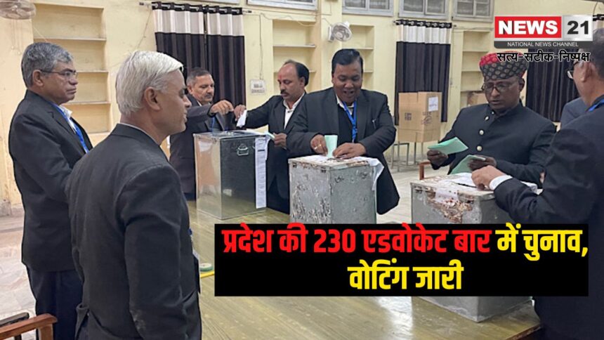 Bar Association Elections 2024-25: प्रदेश की 230 एडवोकेट बार में चुनाव, वोटिंग जारी: जयपुर की सबसे बड़ी बार पर भी मतदान