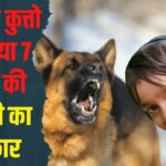 Rajasthan Dog Attack Death Case Update:  तिजारा में दर्दनाक हादसा: सात साल की बच्ची को कुत्तों ने नोच-नोचकर मार डाला