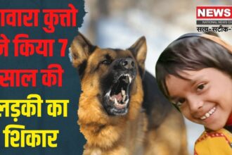 Rajasthan Dog Attack Death Case Update:  तिजारा में दर्दनाक हादसा: सात साल की बच्ची को कुत्तों ने नोच-नोचकर मार डाला