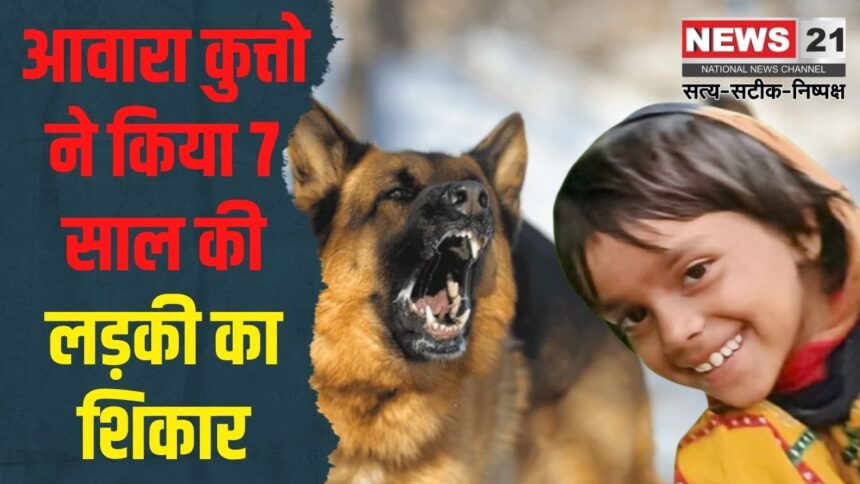 Rajasthan Dog Attack Death Case Update:  तिजारा में दर्दनाक हादसा: सात साल की बच्ची को कुत्तों ने नोच-नोचकर मार डाला