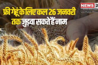 Names Can Be Added For Free Wheat From January 26: फ्री गेहूं के लिए 26 जनवरी से जुड़वा सकेंगे नाम: पात्र परिवार ई-मित्र के माध्यम से कर सकते हैं आवेदन