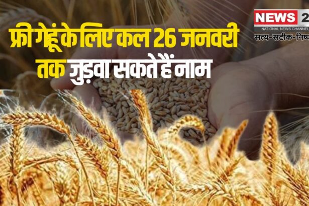 Names Can Be Added For Free Wheat From January 26: फ्री गेहूं के लिए 26 जनवरी से जुड़वा सकेंगे नाम: पात्र परिवार ई-मित्र के माध्यम से कर सकते हैं आवेदन
