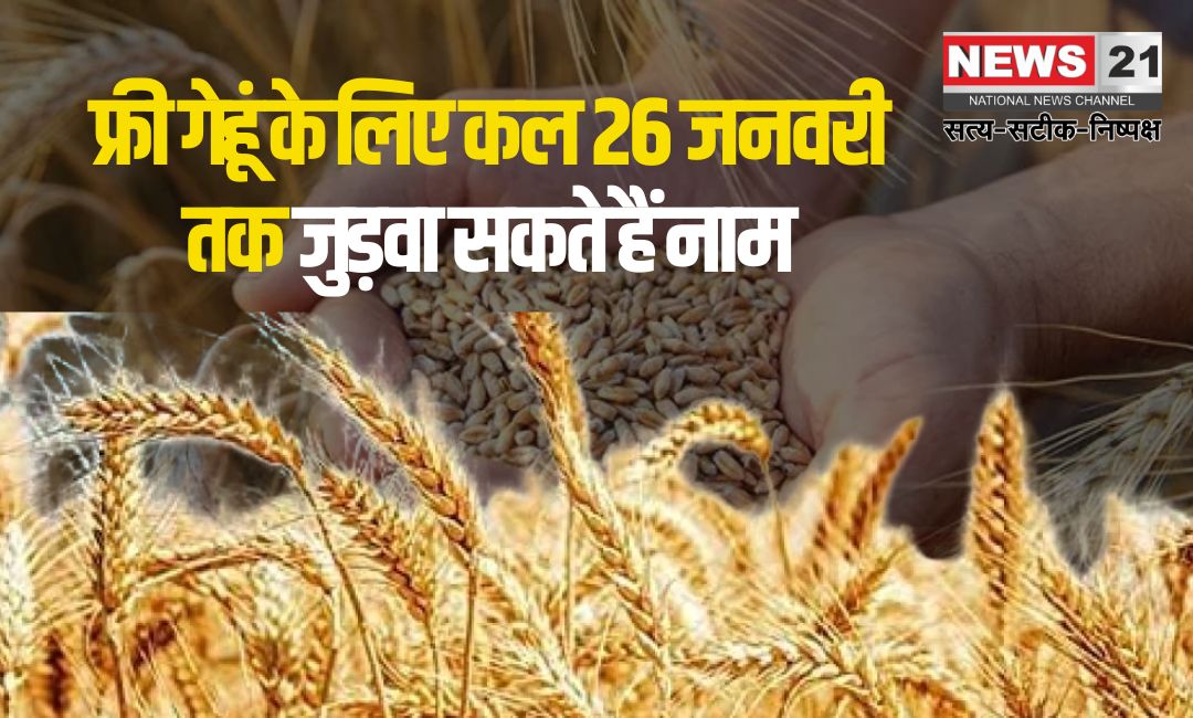 Names Can Be Added For Free Wheat From January 26: फ्री गेहूं के लिए 26 जनवरी से जुड़वा सकेंगे नाम: पात्र परिवार ई-मित्र के माध्यम से कर सकते हैं आवेदन
