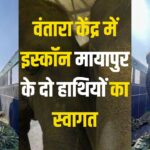 Vantara Center Gujarat: वंतारा केंद्र में इस्कॉन मायापुर के दो हाथियों का स्वागत: विष्णुप्रिया के महावत पर हमले के बाद लिया गया कदम 