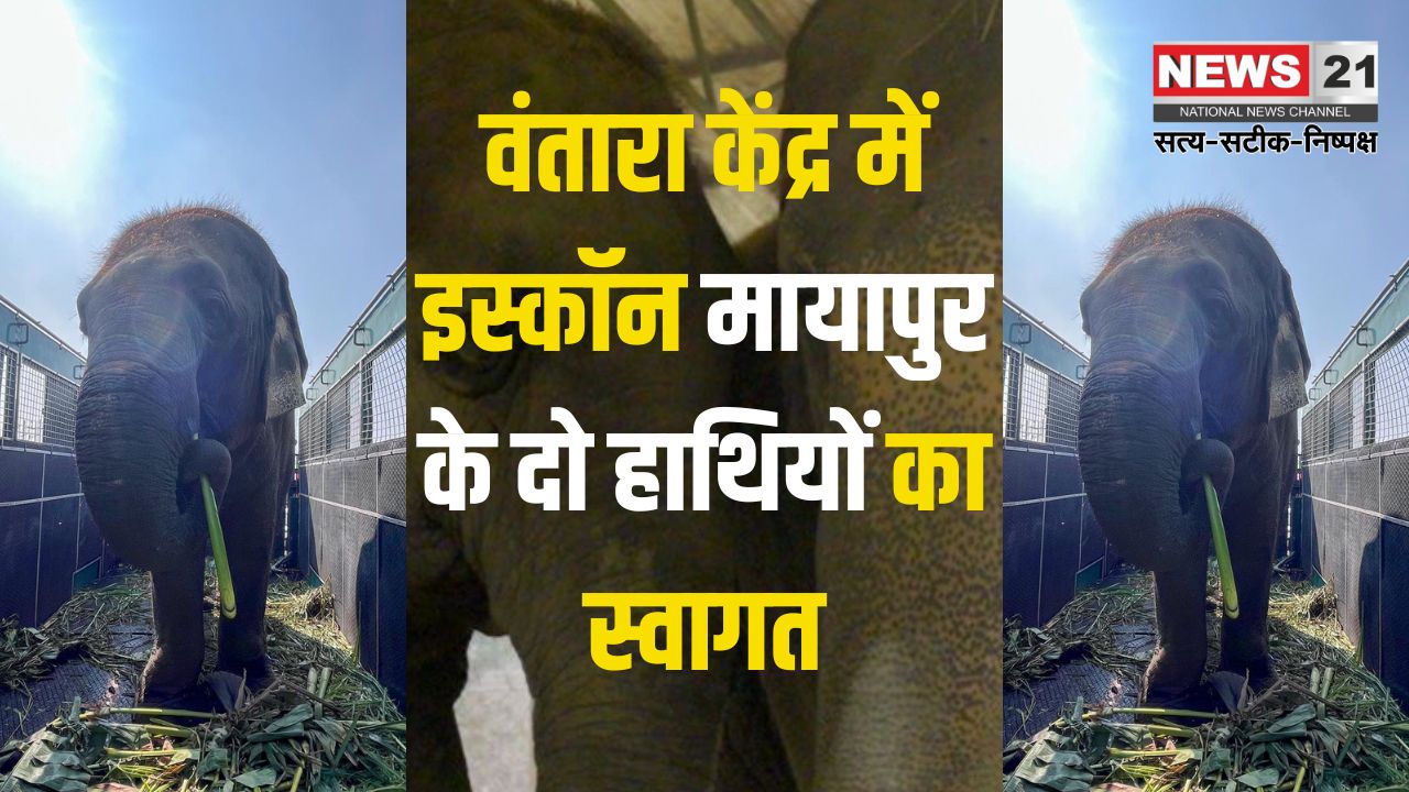 Vantara Center Gujarat: वंतारा केंद्र में इस्कॉन मायापुर के दो हाथियों का स्वागत: विष्णुप्रिया के महावत पर हमले के बाद लिया गया कदम