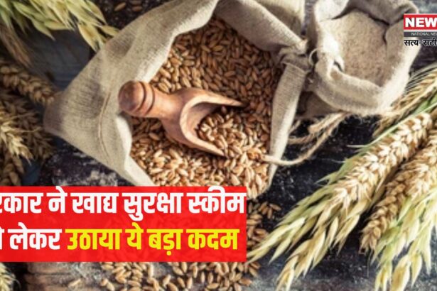 Giveup campaign in Rajasthan: राजस्थान में गिवअप अभियान का असर: 7 लाख लोगों ने खाद्य सुरक्षा योजना से नाम वापस लिया