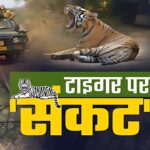Why are wild animals coming out of the forest?: आखिर जंगल से क्यों बाहर निकल रहे है वन्यजीव?: भारतीय वन्यजीव संस्थान द्वारा जारी रिपोर्ट पर छिड़ी बहस