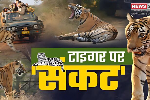 Why are wild animals coming out of the forest?: आखिर जंगल से क्यों बाहर निकल रहे है वन्यजीव?: भारतीय वन्यजीव संस्थान द्वारा जारी रिपोर्ट पर छिड़ी बहस