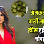 Priyanka Chopra Inspired by Guava Seller: प्रियंका चोपड़ा को ओडिशा में महिला फल विक्रेता ने किया प्रभावित: सोशल मीडिया पर शेयर किया अनुभव