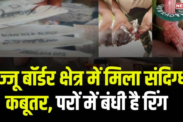 Bikaner Bajju Border News: बज्जू बॉर्डर क्षेत्र में मिला संदिग्ध कबूतर: परों में बंधी है रिंग, पुलिस को किया सुपुर्द