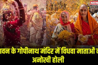 Vrindavan Braj Holi Celebration 2025: वृंदावन के गोपीनाथ मंदिर में विधवा माताओं की अनोखी होली: फूलों और गुलाल से सराबोर हुआ मंदिर परिसर