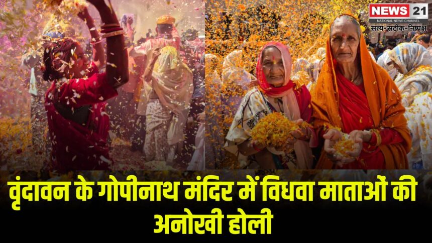 Vrindavan Braj Holi Celebration 2025: वृंदावन के गोपीनाथ मंदिर में विधवा माताओं की अनोखी होली: फूलों और गुलाल से सराबोर हुआ मंदिर परिसर