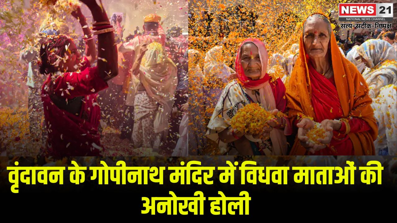 Vrindavan Braj Holi Celebration 2025: वृंदावन के गोपीनाथ मंदिर में विधवा माताओं की अनोखी होली: फूलों और गुलाल से सराबोर हुआ मंदिर परिसर