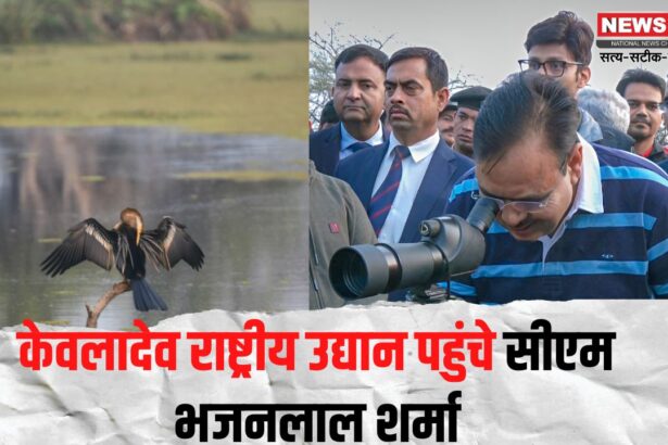CM Bhajanlal Sharma reached Keoladeo National Park: केवलादेव राष्ट्रीय उद्यान पहुंचे सीएम भजनलाल शर्मा: पर्यटकों से जाना अनुभव, सुविधाएं बढ़ाने के दिए निर्देश