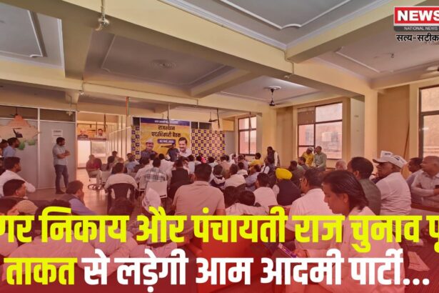 Aam Aadmi Party Update: नगर निकाय और पंचायती राज चुनाव पूरी ताकत से लड़ेगी आम आदमी पार्टी: प्रदेश एवं जिले स्तर पर खाली पड़े पदों को जल्दी भर जाएगा - पालीवाल