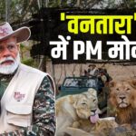 PM Modi Gujarat Tour: गुजरात दौरे पर पीएम मोदी: वनतारा केंद्र का उद्घाटन, 'प्रोजेक्ट लॉयन' के लिए 2900 करोड़ मंजूर 