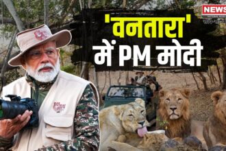 PM Modi Gujarat Tour: गुजरात दौरे पर पीएम मोदी: वनतारा केंद्र का उद्घाटन, 'प्रोजेक्ट लॉयन' के लिए 2900 करोड़ मंजूर 