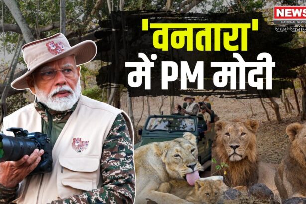 PM Modi Gujarat Tour: गुजरात दौरे पर पीएम मोदी: वनतारा केंद्र का उद्घाटन, 'प्रोजेक्ट लॉयन' के लिए 2900 करोड़ मंजूर 