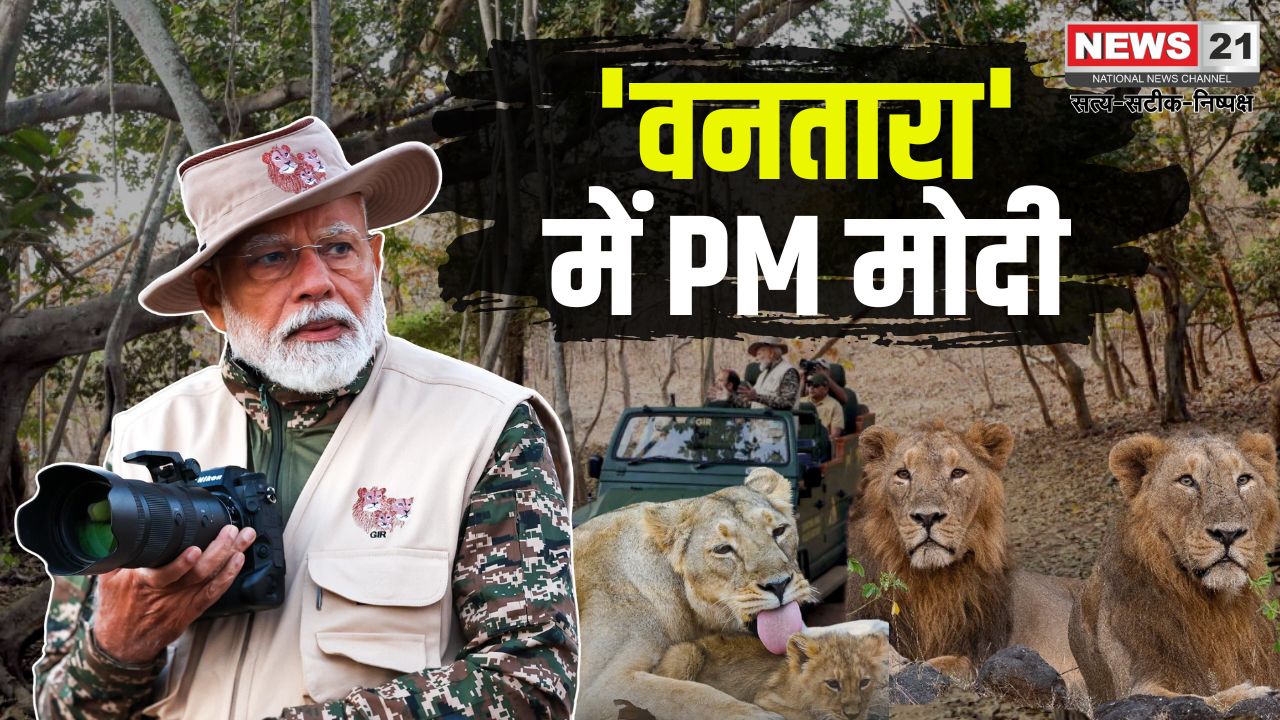 PM Modi Gujarat Tour: गुजरात दौरे पर पीएम मोदी: वनतारा केंद्र का उद्घाटन, 'प्रोजेक्ट लॉयन' के लिए 2900 करोड़ मंजूर
