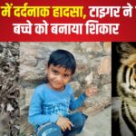 Ranthambore Tiger Attack: रणथंभौर में दर्दनाक हादसा: दर्शन कर लौट रहे 7 साल के बच्चे को टाइगर ने मार डाला