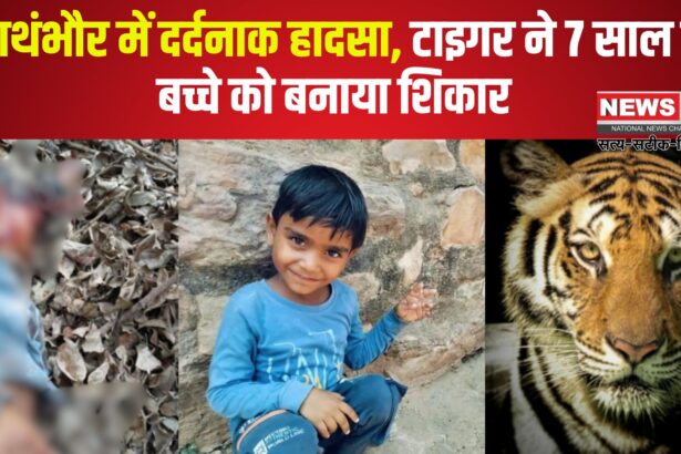 Ranthambore Tiger Attack: रणथंभौर में दर्दनाक हादसा: दर्शन कर लौट रहे 7 साल के बच्चे को टाइगर ने मार डाला
