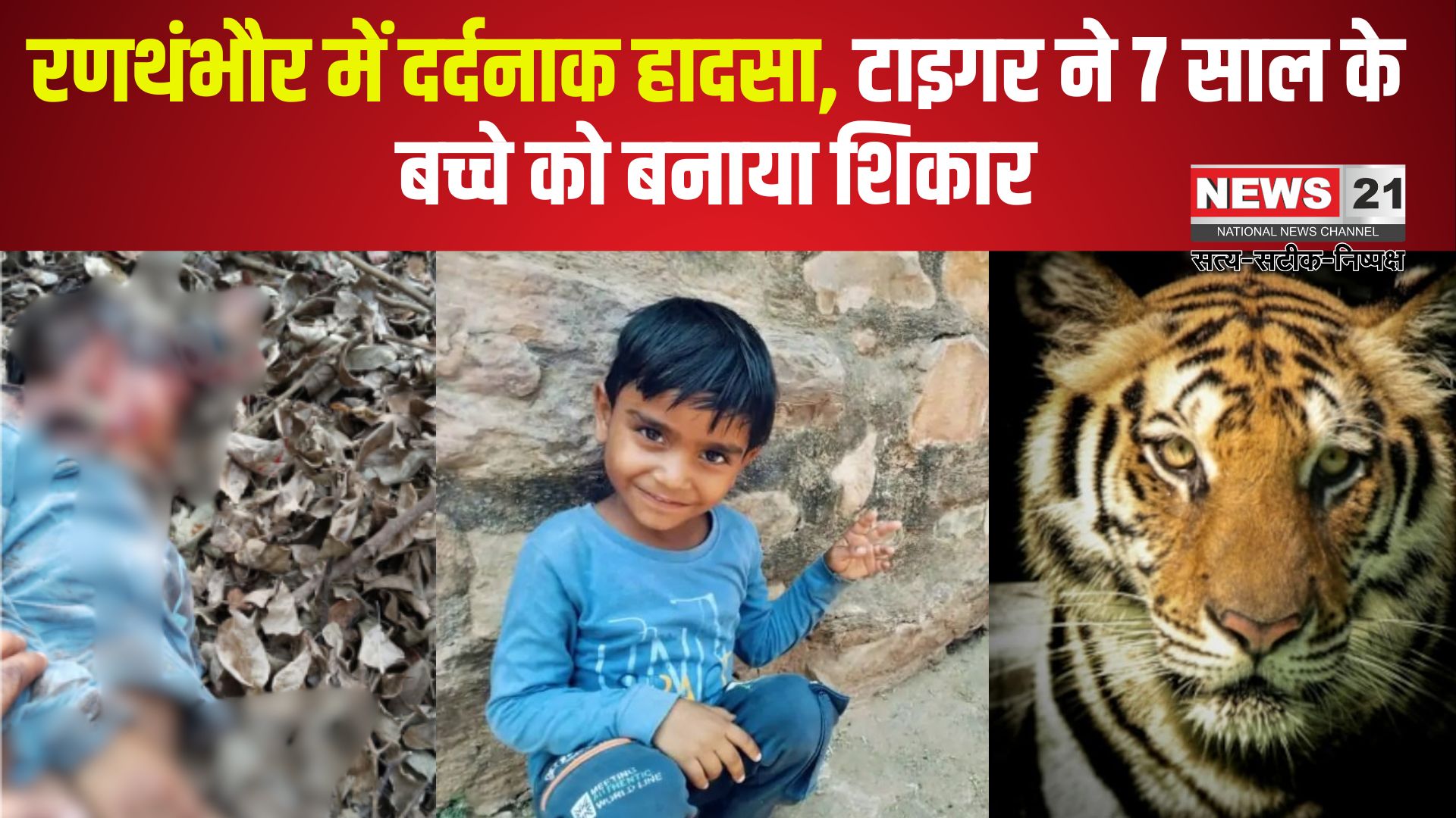Ranthambore Tiger Attack: रणथंभौर में दर्दनाक हादसा: दर्शन कर लौट रहे 7 साल के बच्चे को टाइगर ने मार डाला