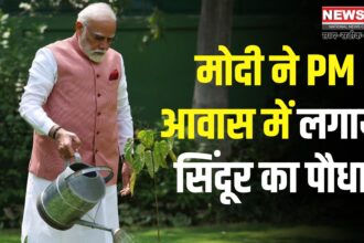 Narendra Modi Sindoor Plant News: सिंदूर का पौधा लगा PM आवास में: PM मोदी ने कहा- यह शौर्य की प्रेरणा