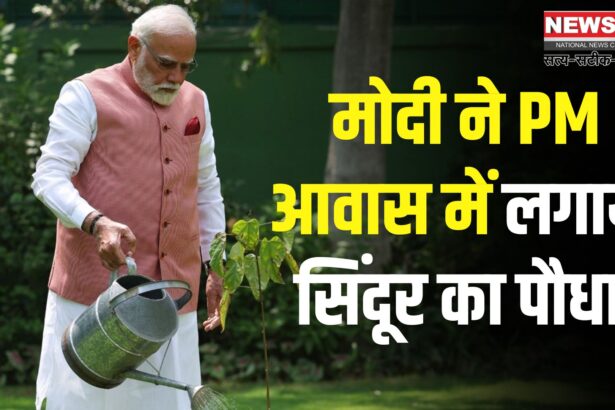 Narendra Modi Sindoor Plant News: सिंदूर का पौधा लगा PM आवास में: PM मोदी ने कहा- यह शौर्य की प्रेरणा