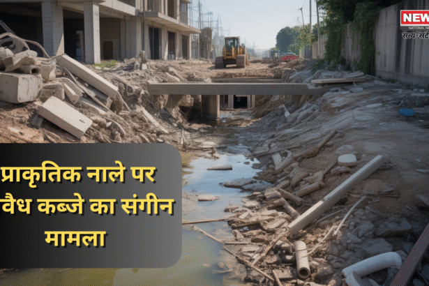 प्राकृतिक