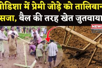 Odisha Villger Taliban Punishment: प्रेम विवाह की सजा, प्रेमी जोड़े को बैल बनाकर खेत जुतवाया: ग्रामीणों ने की तालिबानी क्रूरता