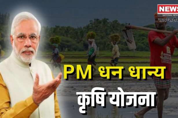 PM Dhan Dhanya Krishi Yojana: किसानों के लिए बड़ी सौगात: मोदी कैबिनेट ने ‘पीएम धन-धान्य कृषि योजना’ को दी मंजूरी, हर साल 24 हजार करोड़ खर्च होंगे