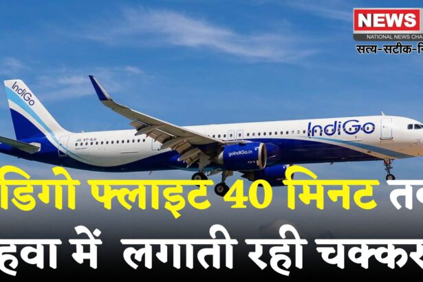 IndiGo Flight: तिरुपति से उड़ी इंडिगो फ्लाइट में आई तकनीकी दिक्कत: वेंकटगिरी के पास लिया यू-टर्न