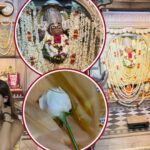 Ananya Panday Visit  Kale Hanuman Ji Temple in Jaipur: जयपुर में काले हनुमानजी के दर्शन को पहुंचीं अनन्या पांडे, फिल्म की सफलता की मांगी दुआ