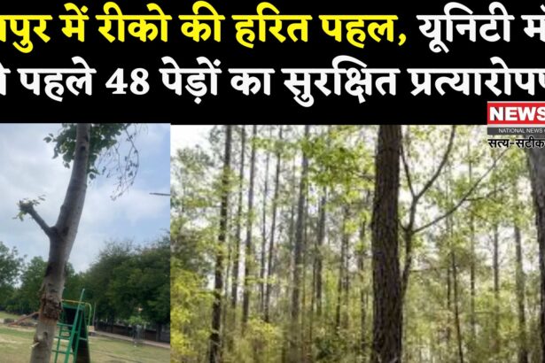 Jaipur News: जयपुर में रीको की हरित पहल: यूनिटी मॉल निर्माण से पहले 48 पेड़ों का सफल प्रत्यारोपण