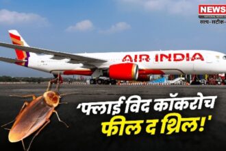 Air India Cockroach Controversy: विमान में दिखे कॉकरोच: एअर इंडिया ने माना- "दुर्भाग्यपूर्ण घटना"