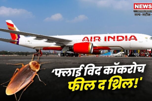 Air India Cockroach Controversy: विमान में दिखे कॉकरोच: एअर इंडिया ने माना- "दुर्भाग्यपूर्ण घटना"