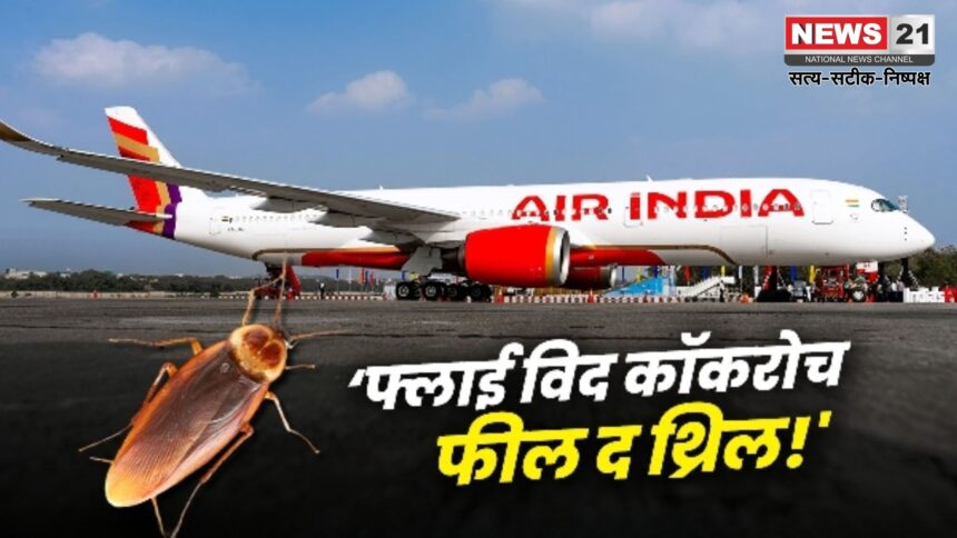 Air India Cockroach Controversy: विमान में दिखे कॉकरोच: एअर इंडिया ने माना- "दुर्भाग्यपूर्ण घटना"