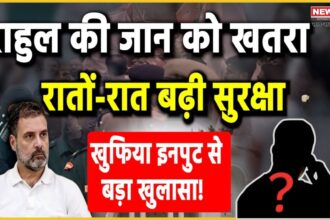 Rahul Gandhi: राहुल गांधी ने कोर्ट में जताया जान का खतरा, प्रिवेंटिव सुरक्षा की मांग की